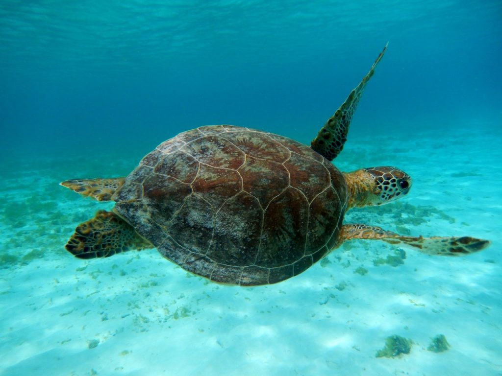 De nationale parken van Curacao